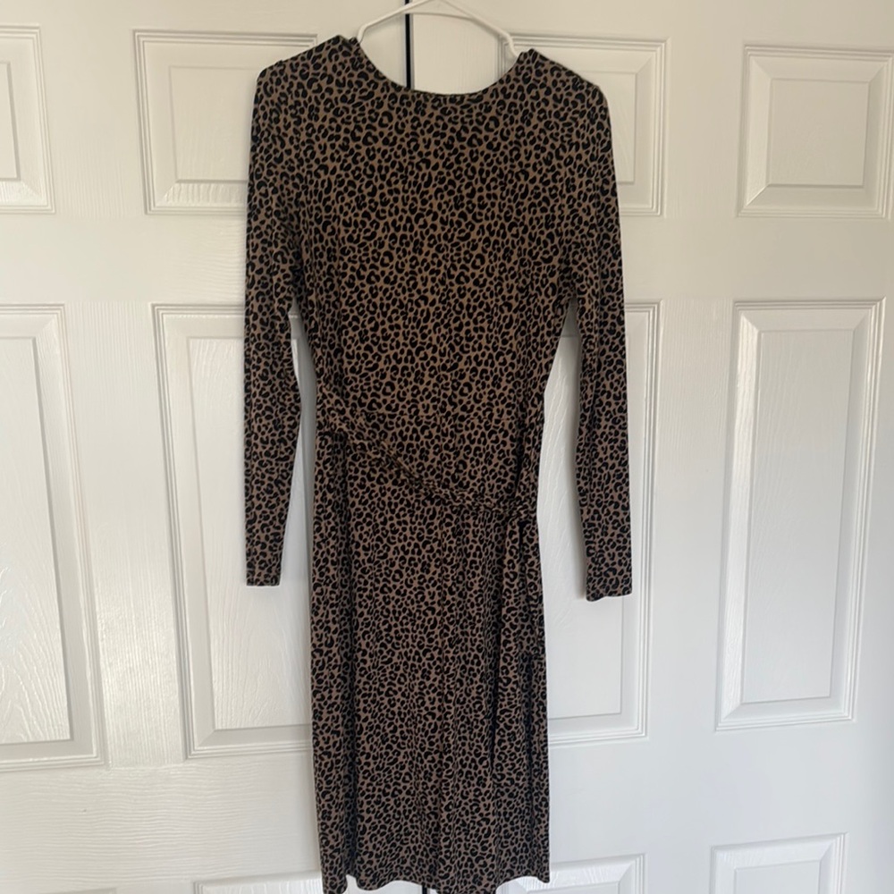 Leopard Print Long Sleeve Dress